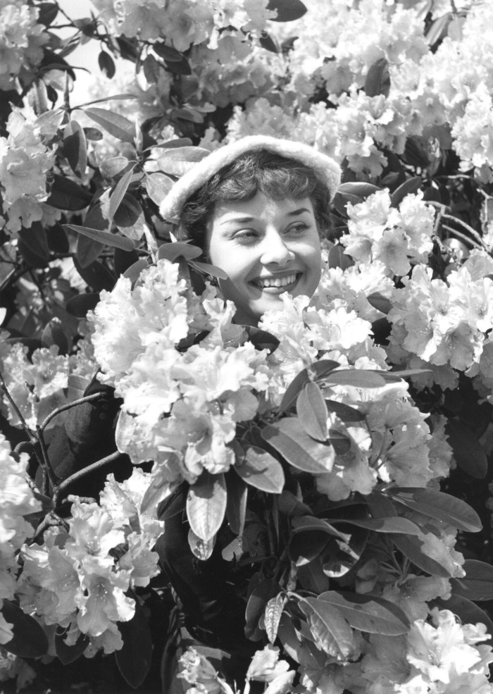 Mindfulness, 1st May 1950: US actress Audrey Hepburn (1929 - 1993) amidst spring blossoms. Original Publication: Picture Post - 5035 - We Take A Girl To Look For Spring - pub. 1950 (Photo by Bert Hardy/Picture Post/Hulton Archive/Getty Images)
