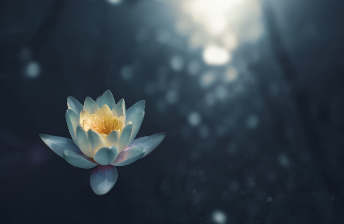 5 apps de meditación para mejorar tu ánimo y piel