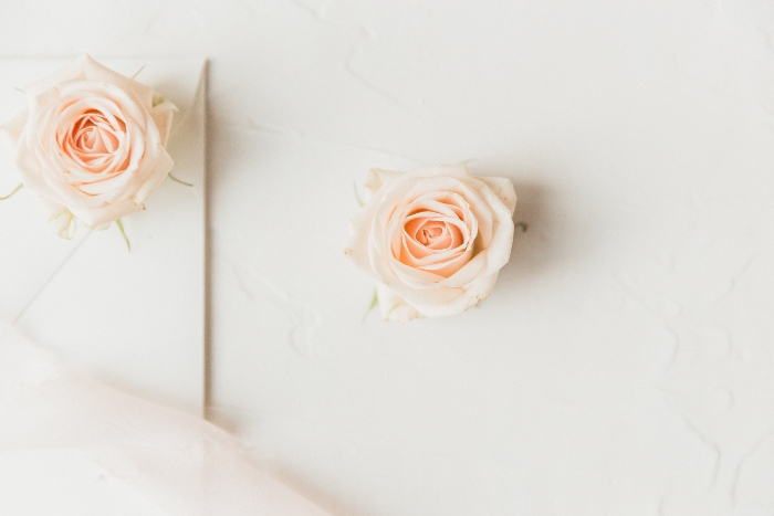 rosa, leo, perfumes-segun-signo-leo