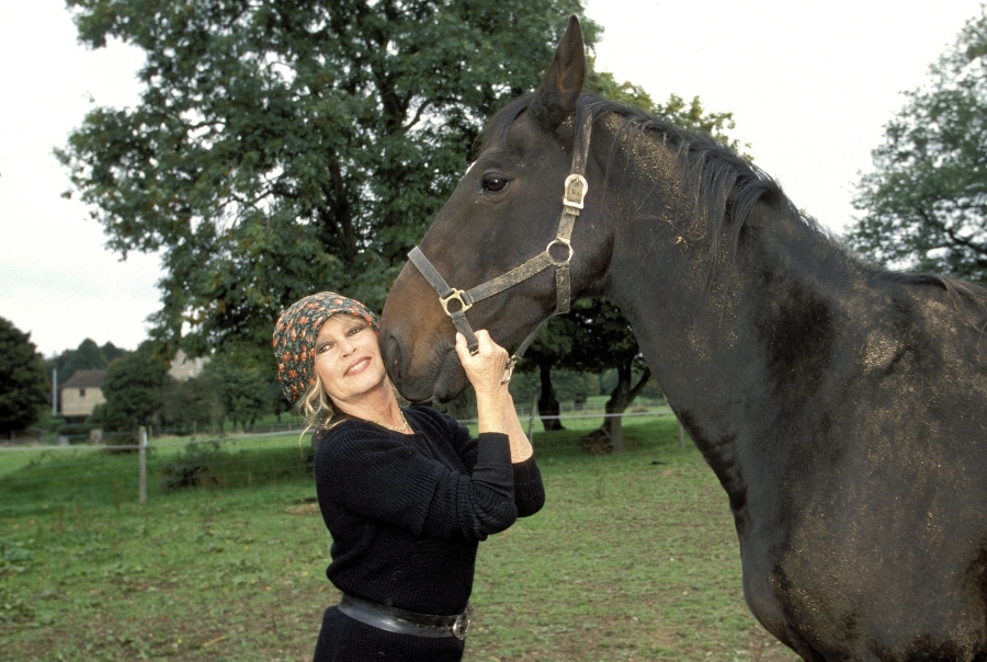 brigitte bardot se retiró en 1973 y se dedicó a cuidar a animales