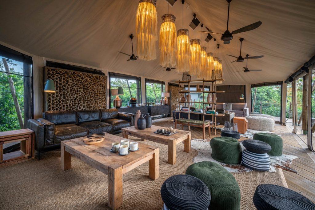 safari de lujo en áfrica